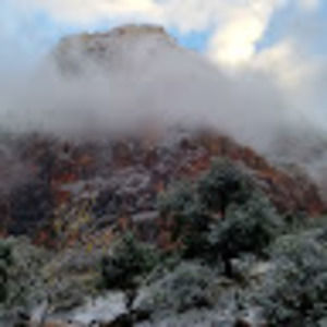 Meet your Posher, Marshall